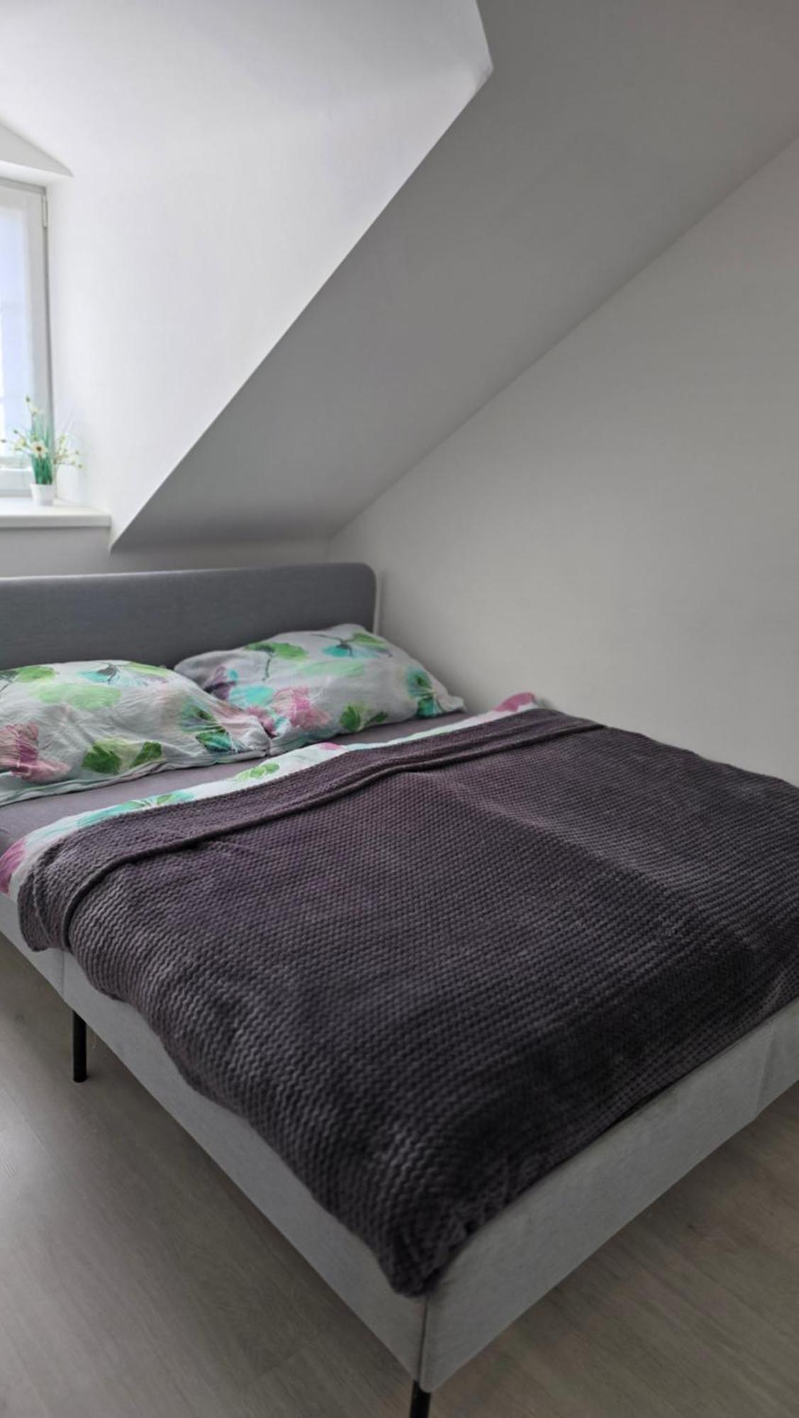 Apartman - Cafe Princ Pod Hradem Wifi, Klima Штернберк Екстер'єр фото